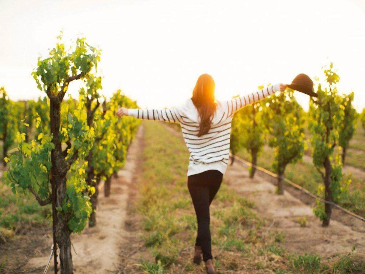 Bordeaux Inn Lodi Ngoại thất bức ảnh